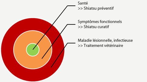 pathologie vue par la médecine traditionnelle chinoise